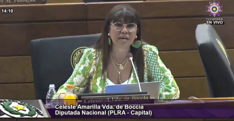 La diputada del PLRA, Celeste Amarilla en la sesión extra de hoy jueves 24 de marzo.
