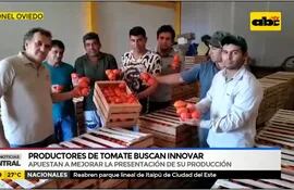 Productores de tomates buscan innovar