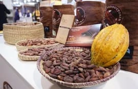 granos-y-frutos-de-cacao-92108000000-1604903.JPG