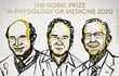 Harvey J. Alter, Michael Houghton y Charles M. Rice, ganadores del Premio Nobel de Medicina 2020.