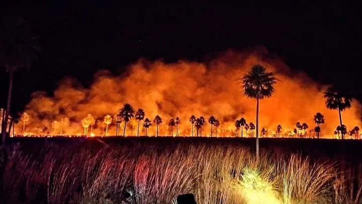 Imágenes de incendios forestales registrados en los últimos días, en varios puntos del país.