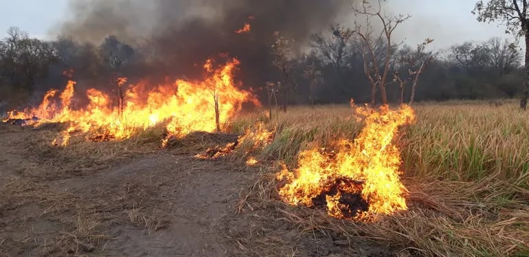 Los fuertes vientos desataron nuevos incendios en territorio paraguayo.