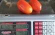 El tomate cotizaba este lunes a G. 17.500 por kilogramo, dos frutos de 130 gramos cada uno se comercializaba en la fecha a G. 4.550.