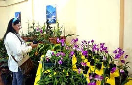 el-centro-expo-flora-esta-dotado-de-un-moderno-invernadero-y-cuenta-con-80-variedades-nuevas-de-orquideas-traidas-de-taiwan--202635000000-580683.jpg