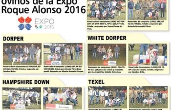 reservados-de-campeones-ovinos-expo-mariano-r-alonso-2016-93313000000-1481289.jpg