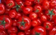tomates-55758000000-1093509.jpg