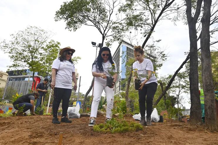 Voluntarias de la organización "Asunción florece" plantaron ayer plantines con flores en canteros de la Plaza de la Democracia.