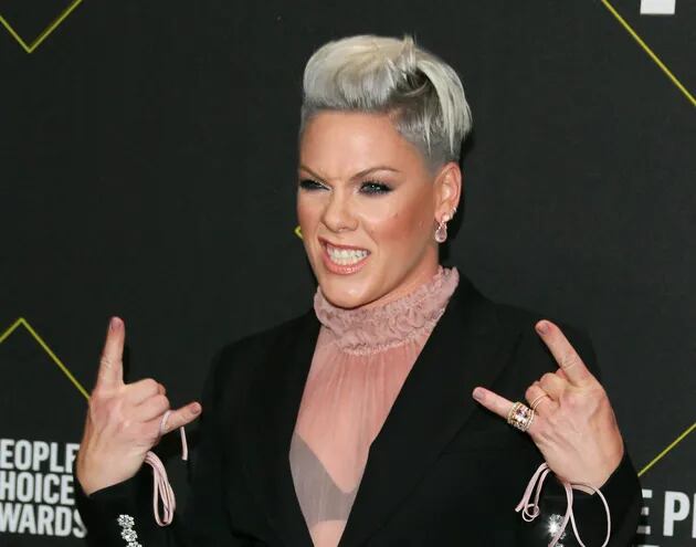 (FILES) In this file photo taken on November 10, 2019 US Singer/songwriter Pink arrives for the 45th annual E! People's Choice Awards at Barker Hangar in Santa Monica, California. - US pop star Pink has offered to pay a "sexist" fine levied on Norway's women's beach handball team after they refused to wear bikini bottoms during a during a game in the Euro 2021 tournament. (Photo by Jean-Baptiste Lacroix / AFP)