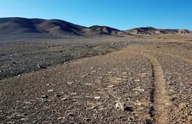 Desierto de Atacama (norte de Chile), en el corazón del yermo, donde un equipo de científicos recolectó muestras en busca de microorganismos. En el suelo se aprecian las placas de Petri usadas para localizarlos.