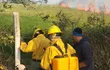 Bomberos de varias compañías están intentando controlar el incendio forestal en Ypané.