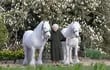 La reina Isabel II posa con sus ponis Fell Bybeck Nightingale (derecha) y Bybeck Katie (izquierda), como parte de las celebraciones por su cumpleaños número 96.