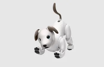 Sony ha anunciado el lanzamiento de un programa de recuperación de sus perros robots Aibo ERS-1000, con el que espera darles una segunda vida una vez sus usuarios los hayan desechado y que se puedan utilizar en centros e instituciones médicas.