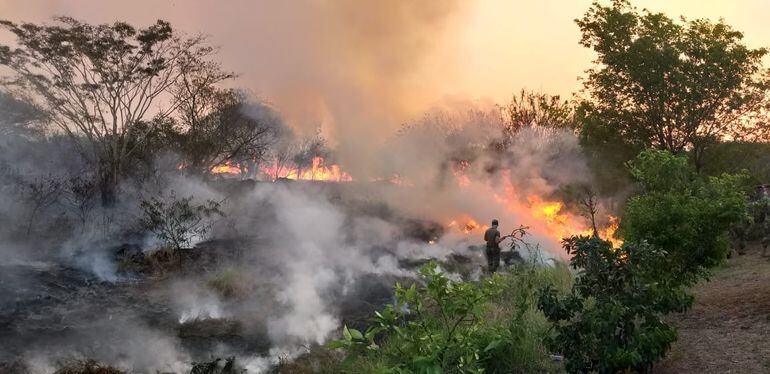 El implacable incendio que consume la vegetaciÃ³n del Parque Guasu Metropolitano genera una inmensa cantidad de humo en la zona.