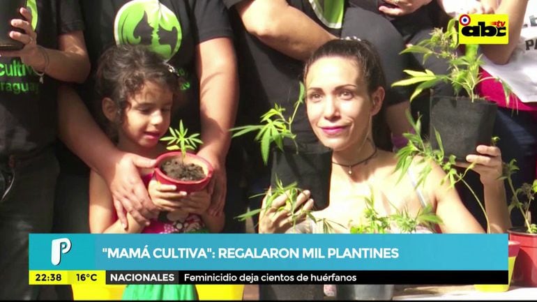 Mamá cultiva", regalaron mil plantines - Mesa de Periodistas - ABC Color