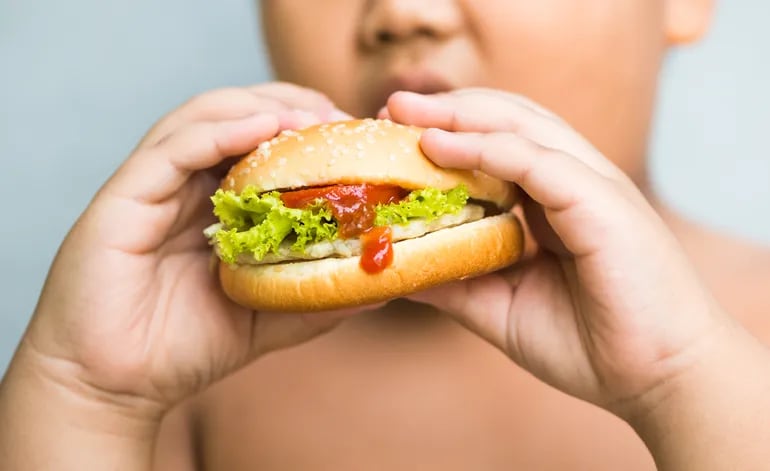 Un niño obeso come una hamburguesa