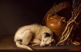 retrato-de-un-perro-durmiendo-obra-del-pintor-y-grabador-holandes-gerrit-dou-de-la-escuela-de-leiden-c-1650--04033000000-1671329.jpg