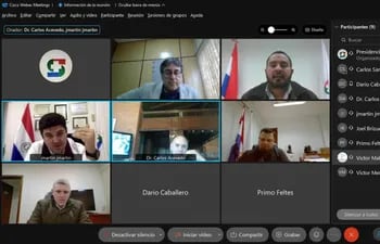 Imagen de la reunión virtual de la Comisión Interinstitucional para la Erradicación de la Fiebre Aftosa en todo el territorio nacional ( Ciefa), realizada hoy.