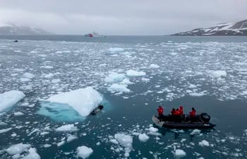 La bióloga de la Cornell University de Nueva York sumerge un hidrófono cubierto de titanio y atado a una boya, en medio del imponente océano coronado por témpanos de hielo, en el archipiélago de las Islas Shetland del Sur.