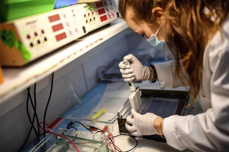 Una investigadora trabaja en la secuenciación del SARS-CoV-2, en el Instituto Pasteur de París, en Francia.