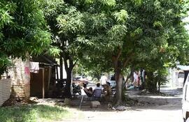 Sobre las antiguas vías del tren, y bajo la sombra de un árbol de mango, vecinos expresaron sus preocupaciones referente al plan de implementación del tren de cercanías de Santiago Peña.