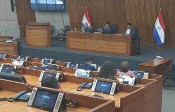 Ayer en Cámara de Diputados se realizó una mesa de trabajo para analizar eventuales medidas que debería de asumir nuestro país para encarar la negociación del Anexo C en Itaipú.