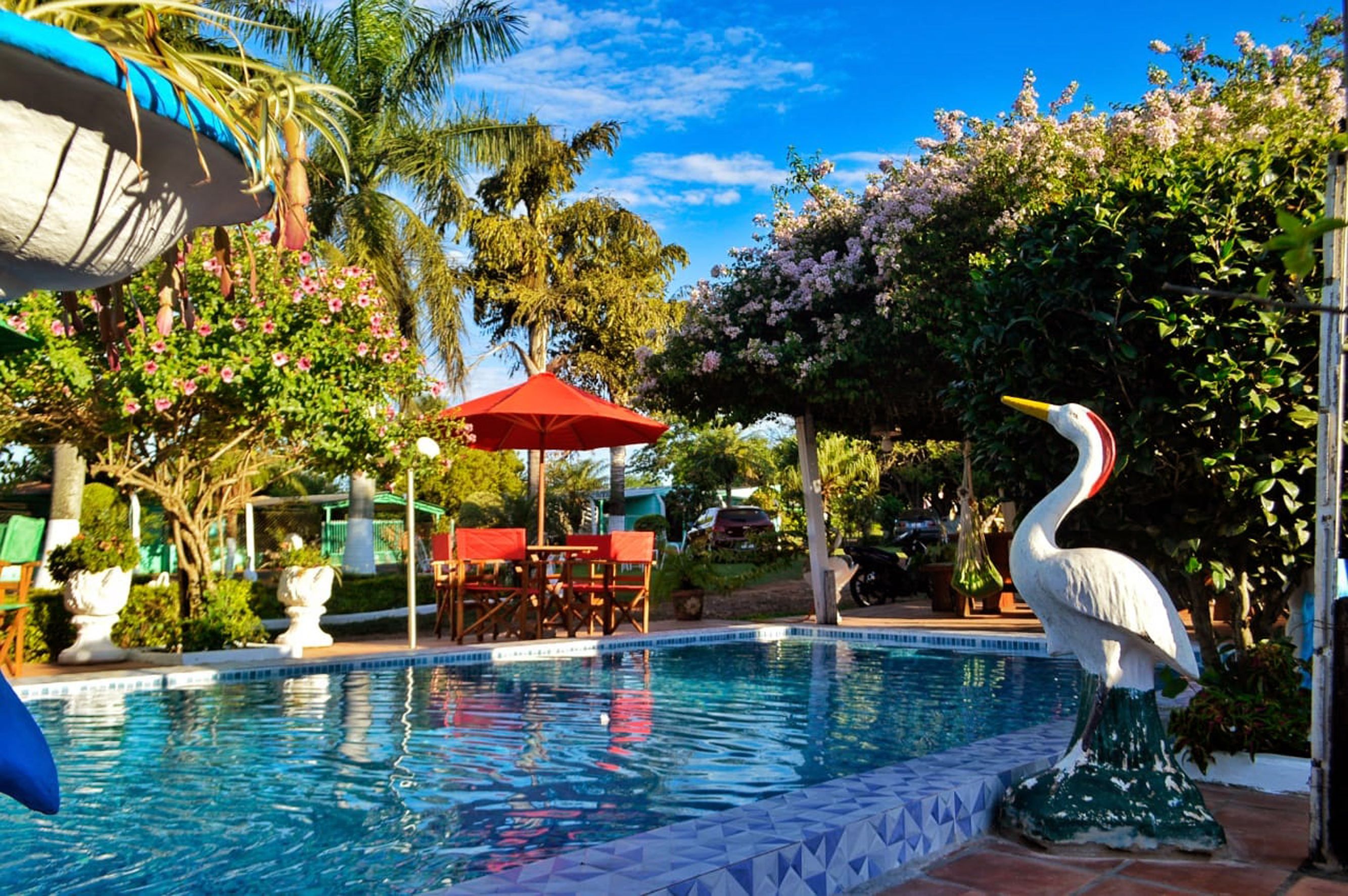 La Posada San Expedito ofrece un amplio patio con piscina rodeada de la naturaleza, para relajarse y descansar.
