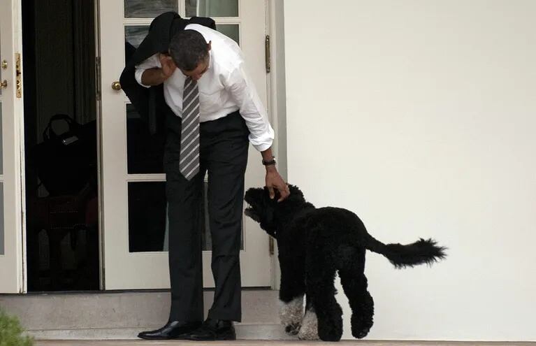 Barack Obama acaricia al perro de la familia, Bo.