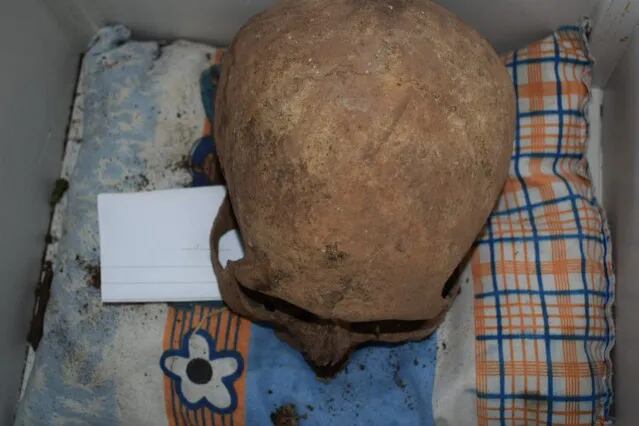 Un cráneo fue encontrado en el operativo realizado. Había sido robado del cementerio de la Recoleta, en Asunción.