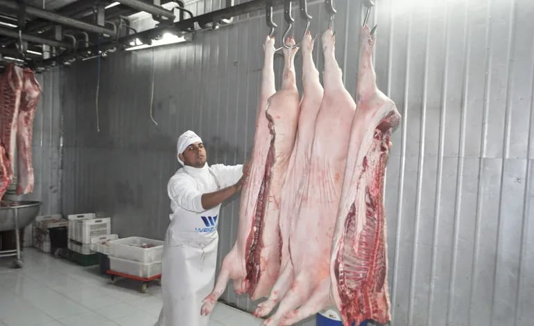 Paraguay cumple con todas las normas sanitarias para la exportación de carne de cerdo.