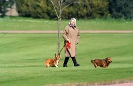 La Reina Isabel II pasea a sus perros en el Castillo de Windsor, el 2 de abril de 1994. El "apasionado" vínculo que la reina Isabel II de Inglaterra (1952-2022) mantuvo con sus perros corgis a lo largo de nueve décadas y que le hacía aflorar su lado más "cercano" se documenta en una serie de fotografías presentadas hoy en Londres.