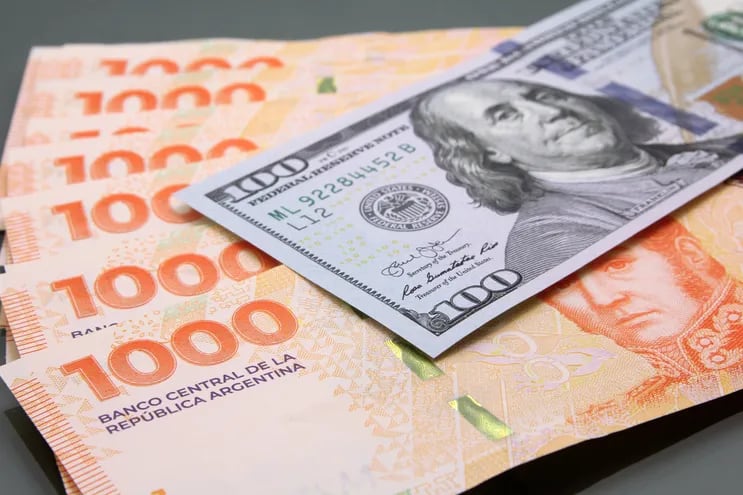 Imagen de referencia de pesos argentinos y un billete de 100 dólares americanos.