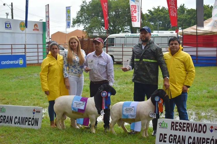 Premiación de los mejores ejemplares ovinos de la raza Dorper a cargo de la presidenta de la Asociación Dorper del Paraguay, Carmen Ortigoza, acompañada de cabañeros.