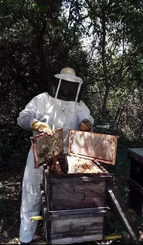 Un apicultor de Ñeembucú, muestra la producción de colmena en su finca, lista para cosechar la miel.