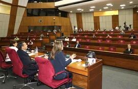 Audiencia Pública para debatir el proyecto de ley cartista de control a ONGs para quedarse con fondos del exterior. (Foto: Prensa Senado)