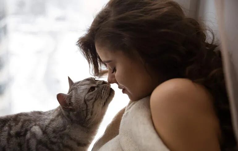 Cuando tu gato se acerca a tu cara, comunica emociones positivas y expresa su deseo de estar cerca de vos.