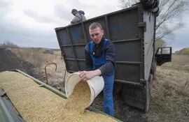 un granjero cosecha en las afueras de Kyiv, cerca de la capital ucraniana .  (EFE)