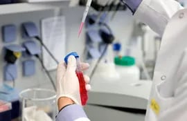 En distintos laboratorios del mundo, como los de Alemania (foto), científicos trabajan contrarreloj para hallar una vacuna o medicamento para frenar al covid-19. Chile hizo un anuncio esperanzador.