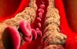 Un grupo de científicos de Viena ha hallado evidencias de que los fármacos clásicos para reducir el colesterol, las estatinas, tienen también un efecto secundario positivo al “matar células vasculares envejecidas”.