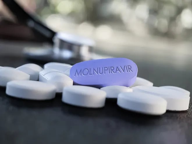 Medicamento antiviral oral de Molnupiravir que bloquea el coronavirus COVID 19 en 24 horas.