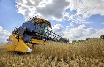 Altos responsables rusos y de la ONU negocian este lunes en Ginebra la prolongación del acuerdo sobre las exportaciones de grano ucraniano, que expira el 18 de marzo.