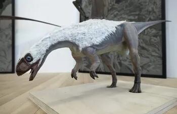 Réplica de Chilesaurus diegosuarezi, un dinosaurio descubierto en la Patagonia chilena.