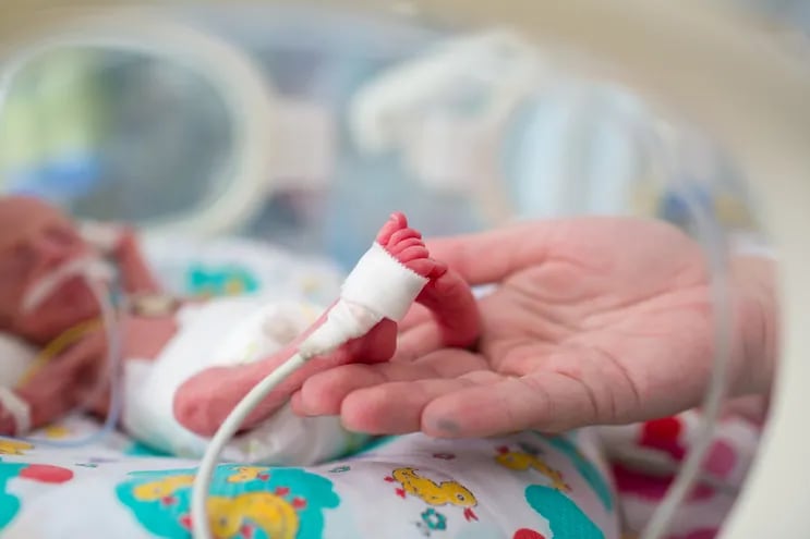 Un bebé recién nacido prematuro en una incubadora.