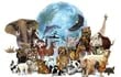 dia-mundial-de-los-animales-110940000000-1762362.jpg
