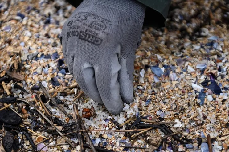 Un voluntario recoge pallets de plástico en la playa de Barreiras, en Corrubedo, provenientes de un barco.