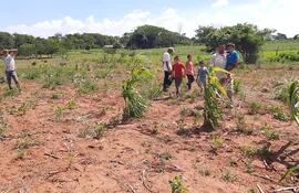 La sequía destruye los cultivos de renta y de autoconsumo en San Pedro y es agobiante la situación en el campo