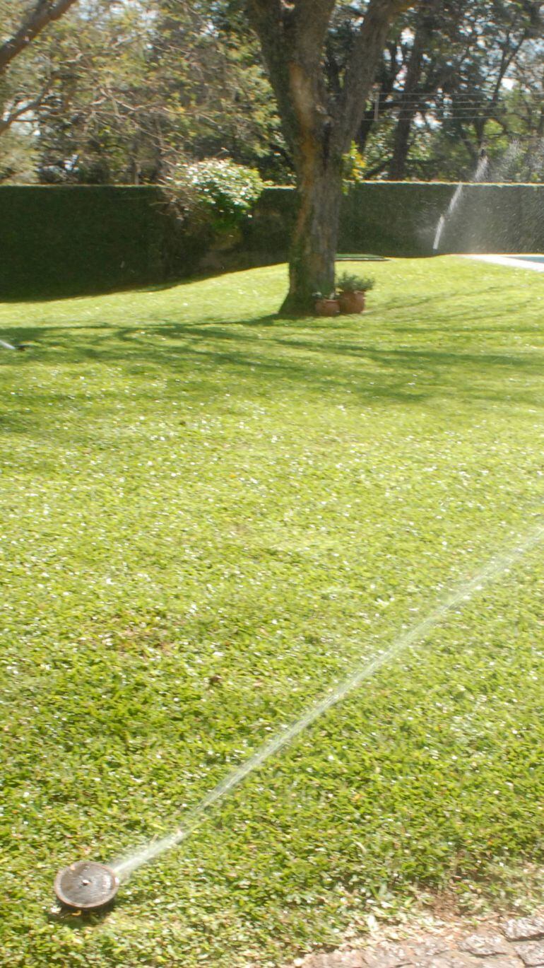 Césped en invierno - Casa y Jardín - ABC Color