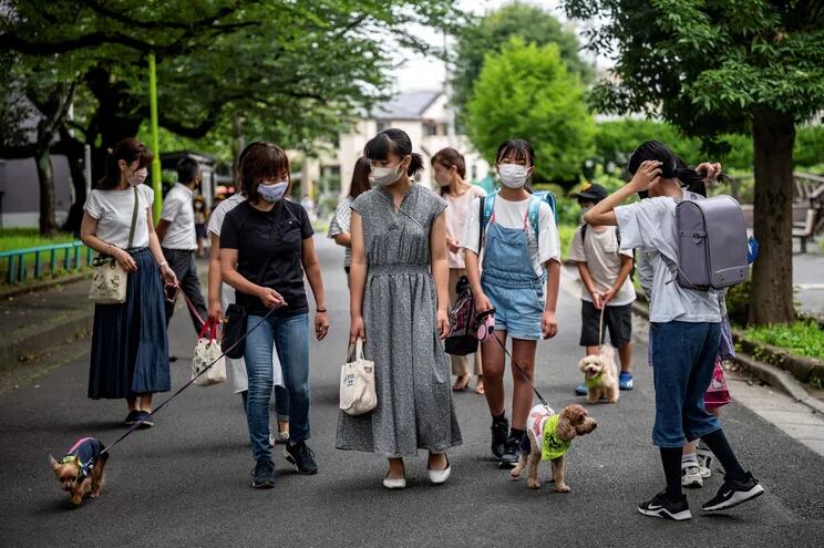 Miembros de la "Wan-Wan Patrol", Keiko Shimizu  con su Yorkshire Terrier, Marika Igarashi y Yurika Igarashi con su  poodle "Sakura" mientras caminan al colegio.