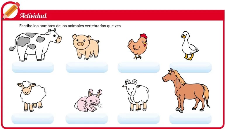 lista de todos los animales del mundo