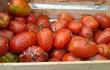 tomate-podrido-104126000000-1095072.jpg