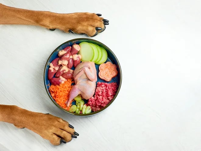 Carne y verduras frescas para el perro.